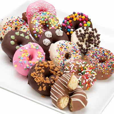 CHOCOLATE COVERED COMPANY ULTIMATE BELGIAN CHOCOLATE MINI DONUTS, 12 PIECE