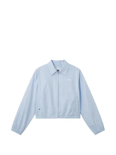 Chocoolate Zip-up Cotton Jacket In Blue