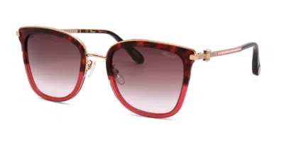 Pre-owned Chopard 0sch286s 0xae 53 Brown Gradient Lens Pink/gold Frame