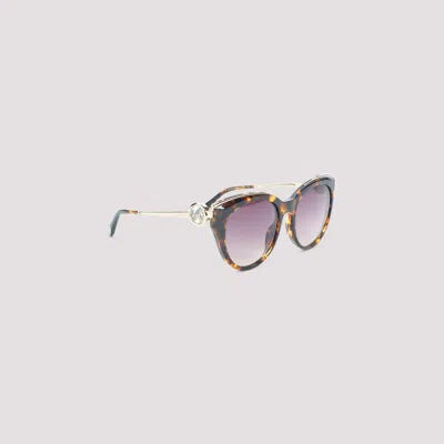 Chopard Acetate Sunglasses In Brown