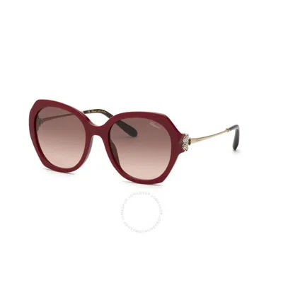 Chopard Brown Butterfly Ladies Sunglasses Sch354s 0g96 54