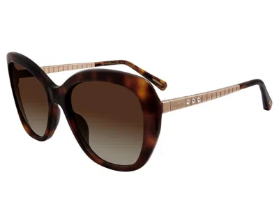 Chopard Brown Gradient Butterfly Ladies Sunglasses Sch259s 0752 57 In Neutral
