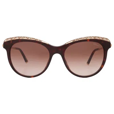 Chopard Brown Gradient Butterfly Ladies Sunglasses Sch271s 0722 55 In Gold
