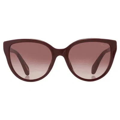 Pre-owned Chopard Brown Gradient Cat Eye Ladies Sunglasses Sch317s 09fh 55 Sch317s 09fh 55