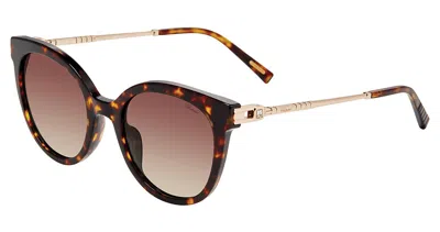 Chopard Brown Gradient Cat Eye Ladies Sunglasses Sch405s 04bl 52 In Multi