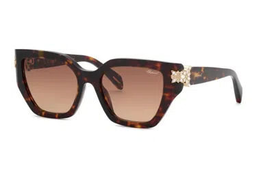 Chopard Brown Gradient Cat Eye Ladies Sunglasses Sch418s 0909 54 In ["brown"]
