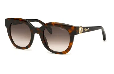 Chopard Brown Gradient Oval Ladies Sunglasses Sch335s 01ay 52 In ["brown"]