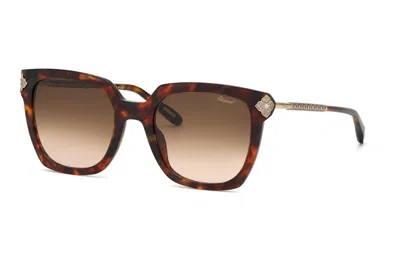 Chopard Brown Gradient Square Ladies Sunglasses Sch336s 0714 54
