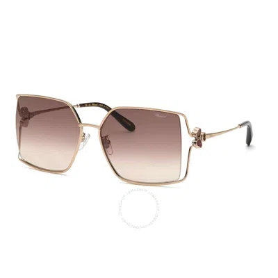 Chopard Brown Gradient Square Ladies Sunglasses Schg68v 0a39 62