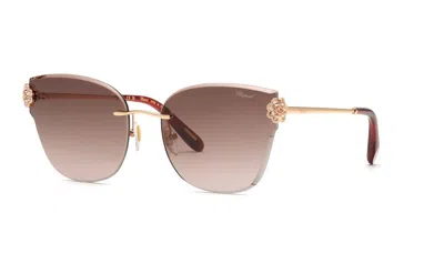 Chopard Brown Gradient Violet Cat Eye Ladies Sunglasses Schl57s 08fc 59 In ["purple","pink","brown","gold Tone","rose Gold Tone"]