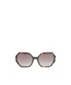 Chopard Brown Acetate Sunglasses
