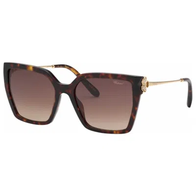 Chopard Happy Hearts Women's Sunglasses In Brown