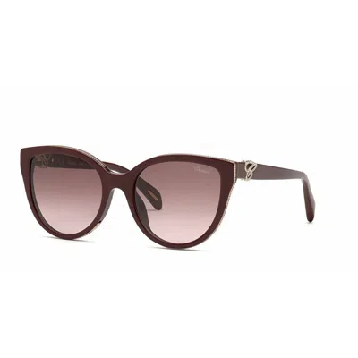 Chopard Ladies' Sunglasses  Sch317s5509fh  55 Mm Gbby2 In Brown