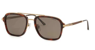 Chopard Polarized Brown Navigator Men's Sunglasses Schg36 8ffp 55 In ["brown","gold Tone"]