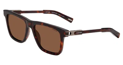 Chopard Polarized Brown Square Men's Sunglasses Sch398 909p 57 In ["brown","yellow"]