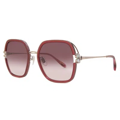 Chopard Red Gradient Square Ladies Sunglasses Schg32v 0afd 57 In Burgundy