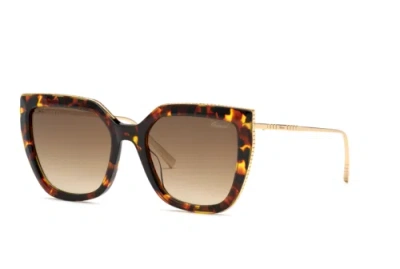 Pre-owned Chopard Sch319m 0745 Avana Lucido 54/19/135 Women's Sunglasses In Brown
