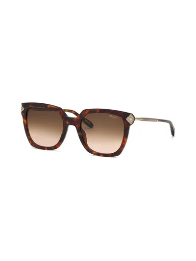 Chopard Sch336s Sunglasses In Shiny Dark Havana