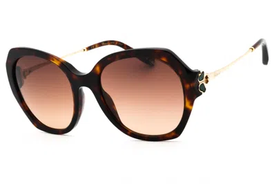 Chopard Sch354v Oversized Tortoiseshell Sunglasses In Brown
