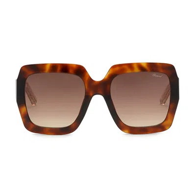 Chopard Sch363m Havana Square Frame Sunglasses In Brown
