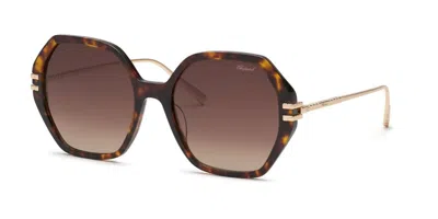 Chopard Oversized Acetate Sunglasses For Women In Black