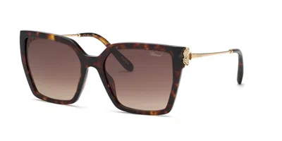 Chopard Sch371s 0909 Women's Sunglasses Tortoiseshell Size 56 In Brown
