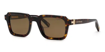 Chopard Sch376 Polarized 909p Occhiali Da Sole Tartarugatishell Per Uomo