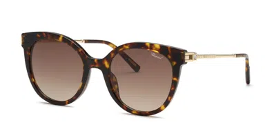 Chopard Sch405s 04bl Men's Sunglasses Tortoiseshell Size 52 In Brown