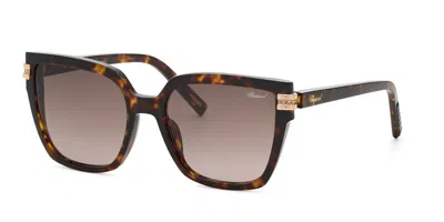 Chopard Sch432s 0743 Men's Sunglasses  Size 55 In Multi