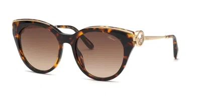 Chopard Schl04s 0909 Women's Sunglasses Tortoiseshell Size 55 In Brown