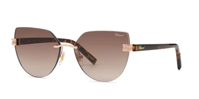 Chopard Schm49s 08fc Men's Sunglasses  Size 60 In Brown