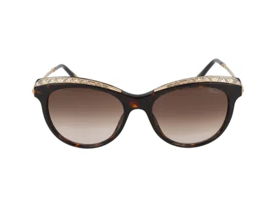 Chopard Sunglasses In Brown