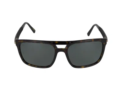 Chopard Sunglasses In Dark Havana Glossy