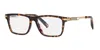 Chopard Vch357 Men's Glasses, Tortoiseshell, Size 55 In Multi