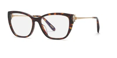 Chopard Vch368v Women's Glasses, Tortoiseshell, Size 55 In Brown