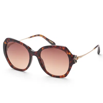 Chopard Women's 54mm Brown Yellow Havana Sunglasses