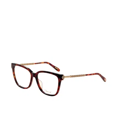 Chopard Women's 55mm Brown Havana Opticals