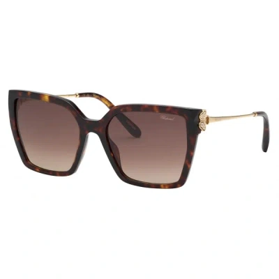 Chopard Women's 56 Mm Havana Sunglasses In Brown