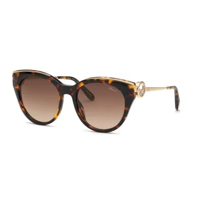 Chopard Women's  Schl04s 0909 Sunglasses In Havana