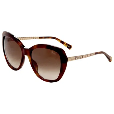Chopard Women's Sunglasses In Brown