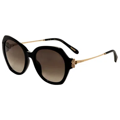 Chopard Women's Sunglasses In Black