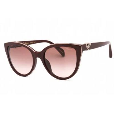 Pre-owned Chopard Women's Sunglasses Shiny Bordeaux Frame Brown Gradient Lens Sch317s 09fh