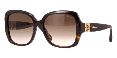 Pre-owned Chopard Women Sunglasses Shiny Havana Frame Brown Gradient Lens Sch288s 0722