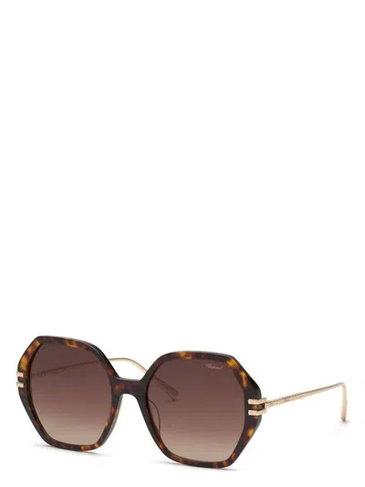 Chopard Titanium Havana Scura Sunglasses