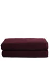 Chortex Honeycomb 2pc Bath Sheets