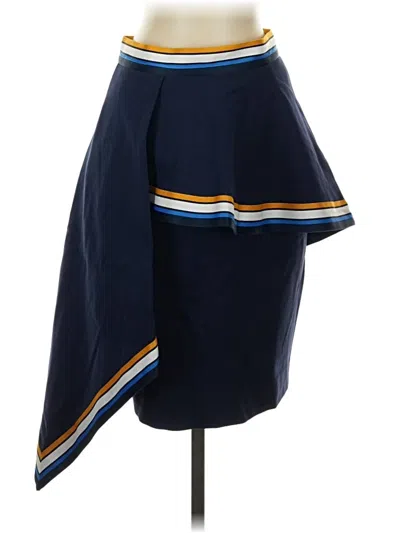 Pre-owned Chris Gramer Casual Skirt In Blue