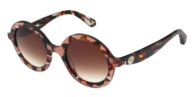 Christian Lacroix Cl5131 145 Women's Sunglasses Brown Size 50