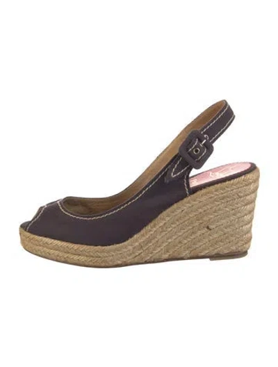 Pre-owned Christian Louboutin Canvas Espadrilles In Purple
