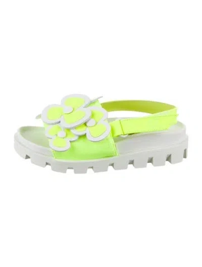 Pre-owned Christian Louboutin Kids' Floral Embellished Sandals In Green