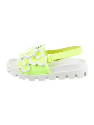 Pre-owned Christian Louboutin Babies' Girls' Floral Sandals In Multi